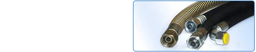Image 01